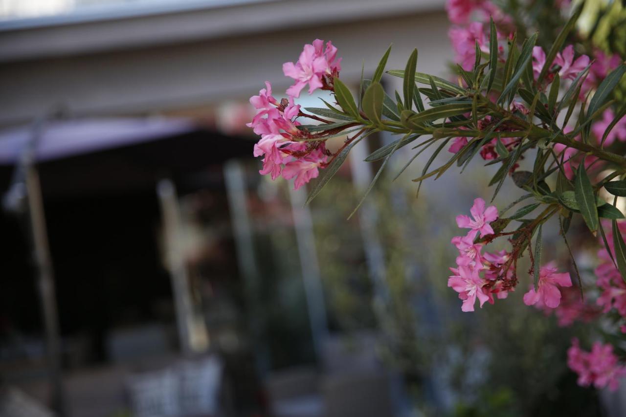 Guest House Lorenta Vodice Bagian luar foto