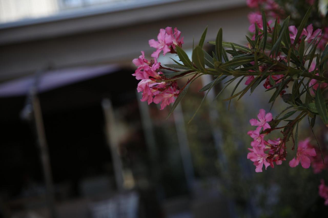 Guest House Lorenta Vodice Bagian luar foto